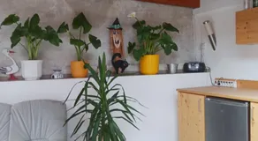 Wohlfühlwohnung - Image 4