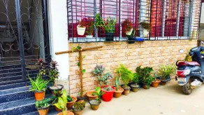 Divine Homestay guesthouse - Image 5