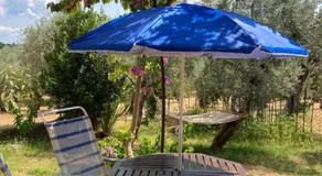 Casa Sisù-Appartamento immerso negli ulivi - Image 5