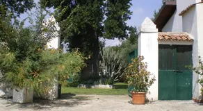 Masseria della Casa - Image 5