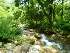 Meditative Meadows - Image 5