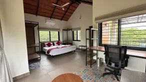Macadamia - Image 3