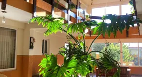Hotel Mitru - Tarija - Image 3