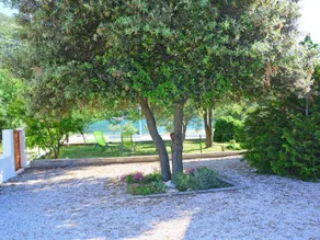 Jagoda - Image 3