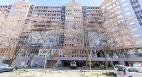 Lisbon Flower 360º - Your Lovely Flat with Pool and Parking - Image 4