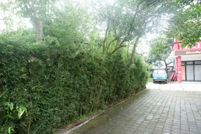 RedDoorz near Alun Alun Wonosobo 2 - Image 3
