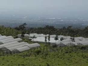Kaliandra Sejati Eco Resort - Image 5