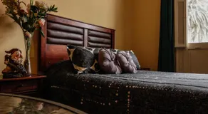 Blanca Rosa Valparaiso B&B - Image 2