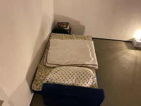 discover Swiss with its cultural - Image 4