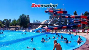 La villetta senza tempo - Pet&Family Friendly Relax Villa with Garden & BBQ near Rome - Image 3