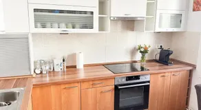 Family & Friends Vienna Base for 6- XXL Apartment with Direct train - 10 Min to City and Airport - Image 3