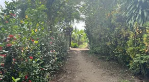 Posada el arrecife - Image 5