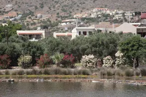 Elounda Olive Garden Studios - Image 3