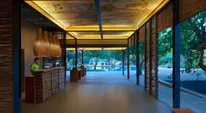 Cinnamon Wild Yala - Image 2
