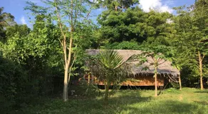 Little Nomads eco-guesthouse - Image 5