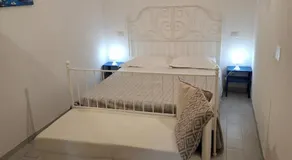 Il vigneto - Image 2