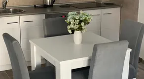 Apartman Mila, Banja Koviljača - Image 5