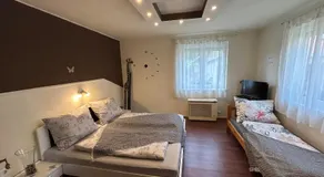 Demona apartman Balatonboglar - Image 2