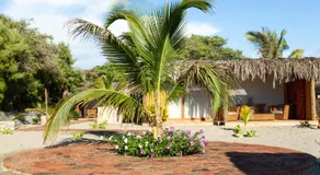 ALAS Y ARENA - Image 5