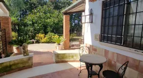 Asparano - Image 5