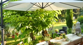 Bed & Tours Dimora di campagna - Image 4