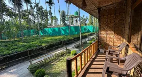 Kaziranga Tea Nest Homestay - Image 5