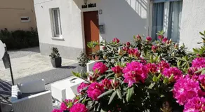 B&B Miele - Image 4