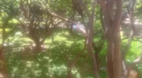 Trikuta Garden Resorts Katra Vaishnodevi - Image 3