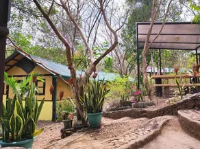 Busuanga Backpackers - Image 5
