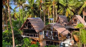Tarzan's House - Image 5