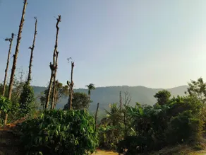 Mountain View Homestay - Image 1