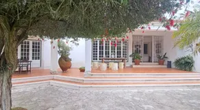 Vila Louro - Image 5