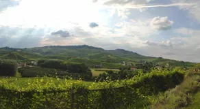 Cascina Pugnane - Image 5