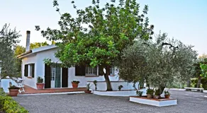 Villa Il Carrubo - Basilicata - Image 3