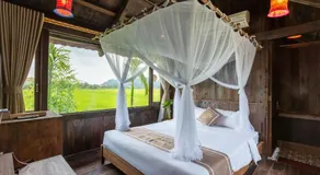 The Palm Tree Bungalow - Image 2
