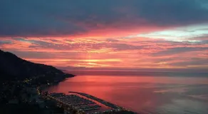 Les Citronniers d'Azur - Image 3