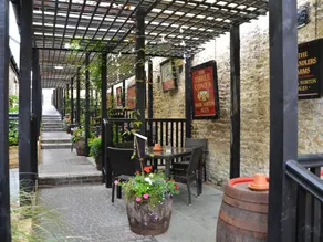 The Fox - Image 5