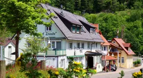 Ferienwohnung im Steinachtal - Image 4