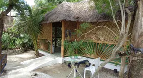 Sea Turtle House Moalboal - Image 3