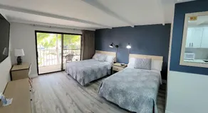 Satellite Motel - Image 3
