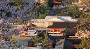 宮島 町家宿 進龍庵 Shintatsu-an - Image 5