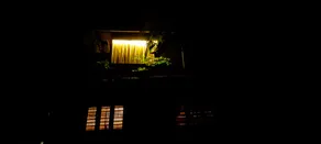 THUSHARAGIRI HERITAGE RESORT - Image 2