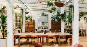 Hotel Pulitzer - Image 2