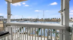 Swainson on Gulf Point - Image 2