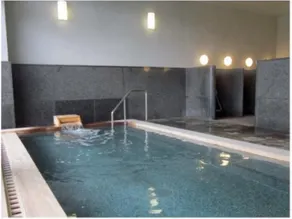 Igashira Onsen Chat Palace - Image 2