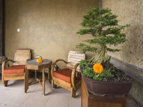 luxe 2 BR Villa With Private Pool #V161 - Image 3