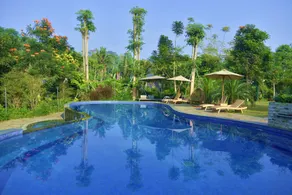 Sarga Earthing Resort - Image 2
