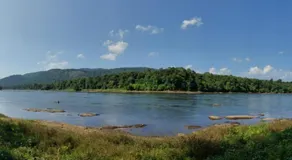 Vipinam, The riverside retreat - Image 2
