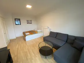 Full Guest House for You, Basel City center - Image 3