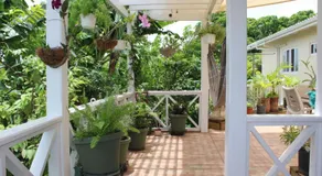 Tropical Garden Cottage Antigua - Image 2